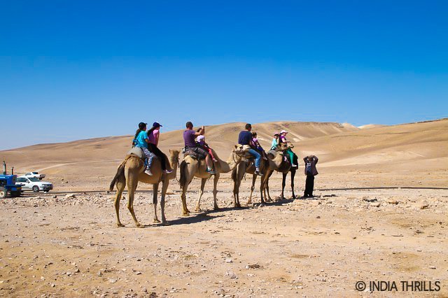 Camel Safari In Bikaner