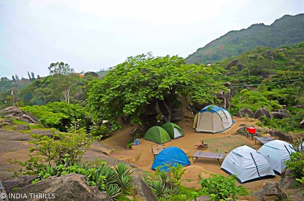 mount abu campsite