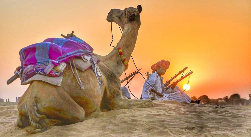 sunset camel safari