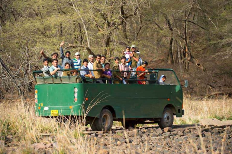 Safari In Ranthambore National Park - An Ultimate Guide