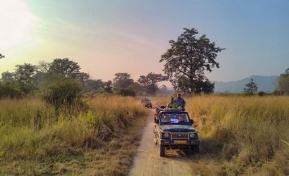 Jeep Safari in jim corbett National Park
