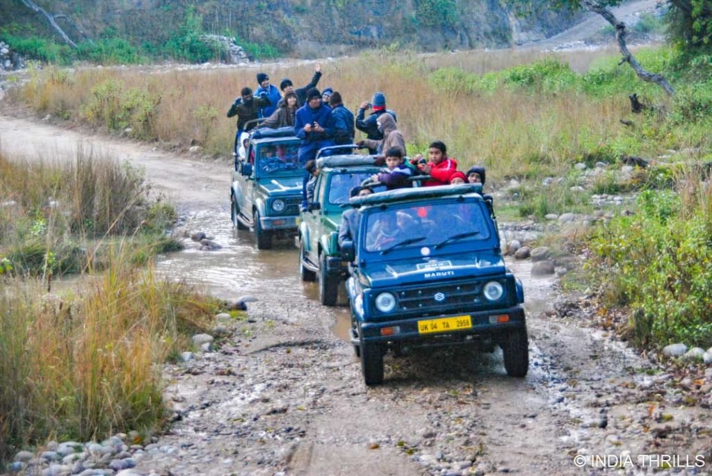Jeep Safari in Jim Corbett National Park | Upto 30% off- India Thrills