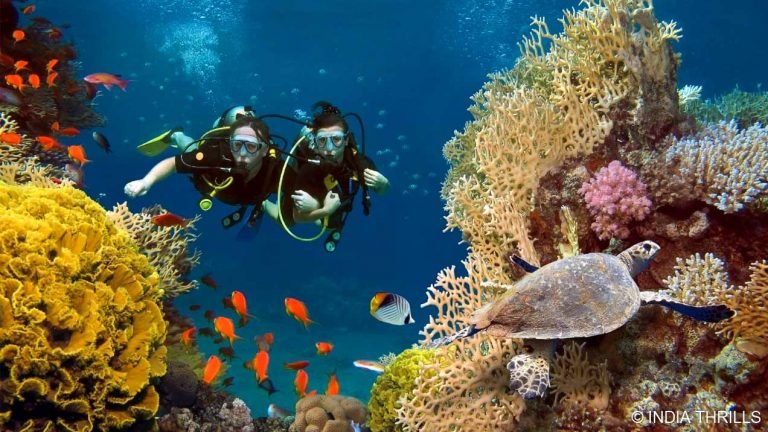 Scuba diving in Andaman at Neil Island