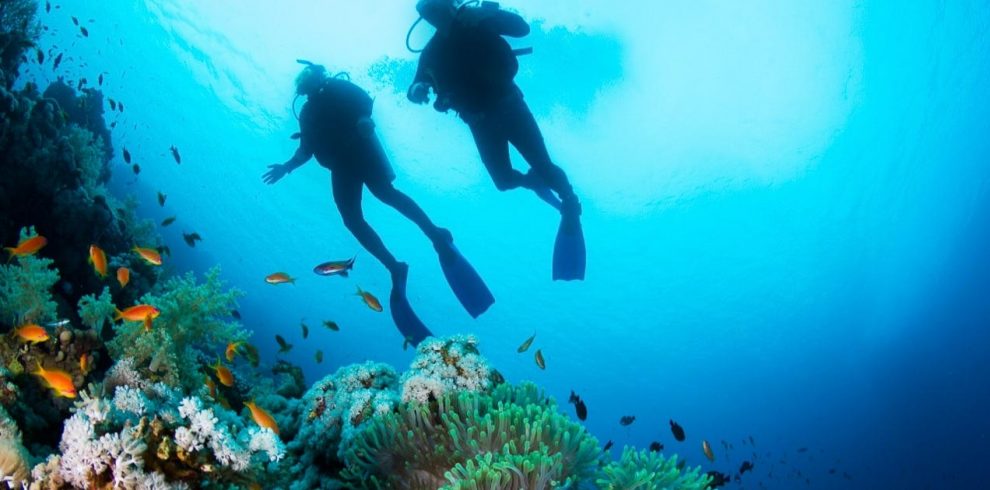 Scuba diving at Grand Island