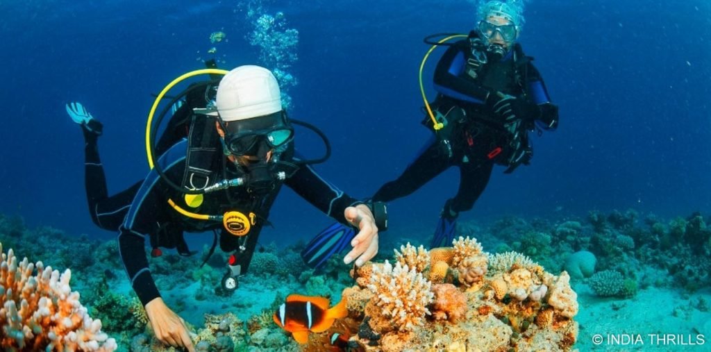 Scuba diving underwater marine life-2