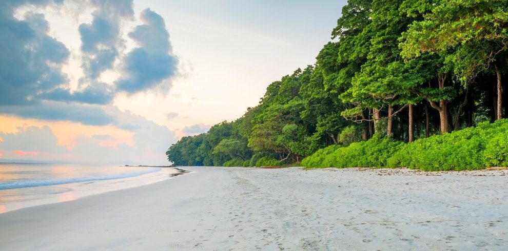 3 Nights 4 days Andaman Trip with Havelock Island