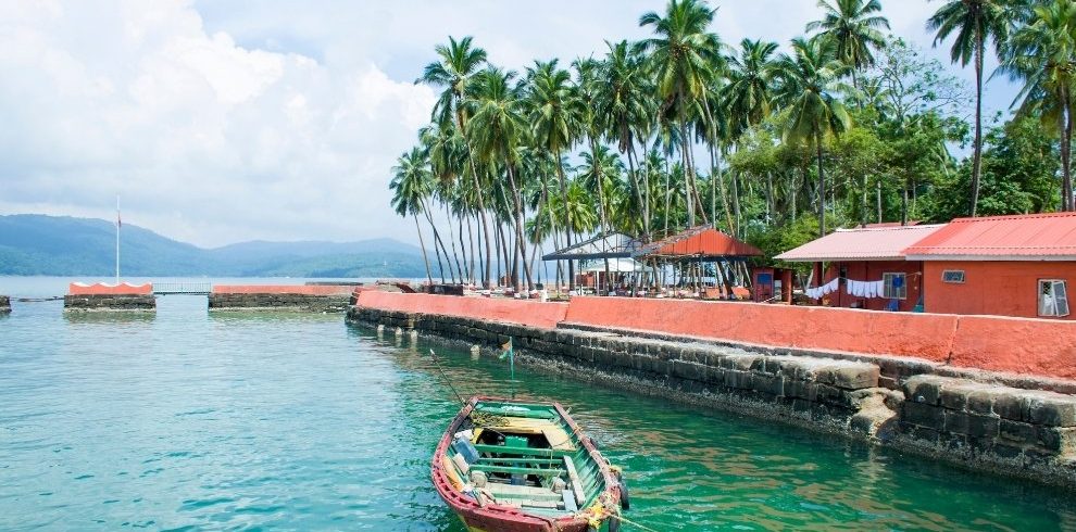 Tropical plants on ross island at Andaman