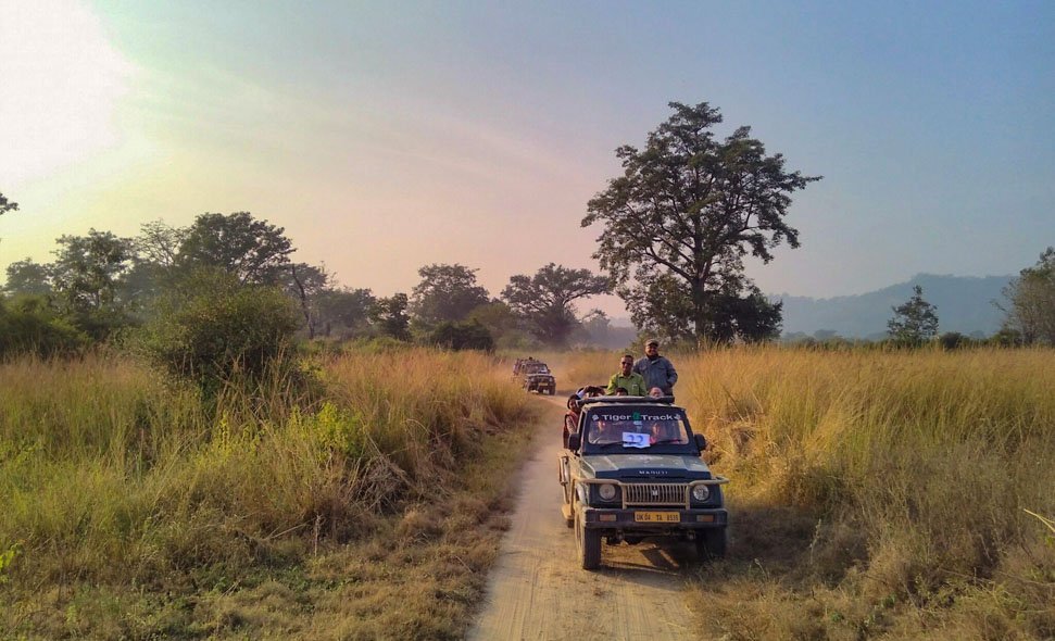Jeep Safari in Ramnagar Jim Corbett