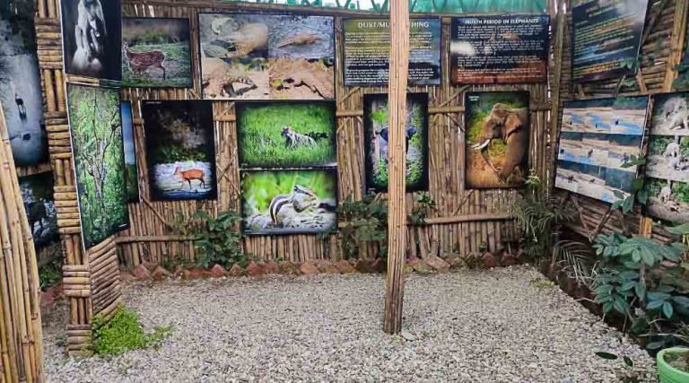 Wildlife Art Gallery Point