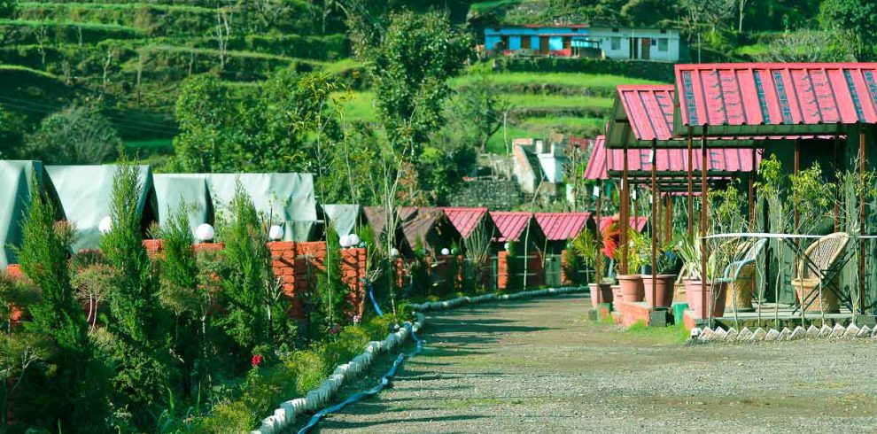 Wondrous Camping in Shivpuri