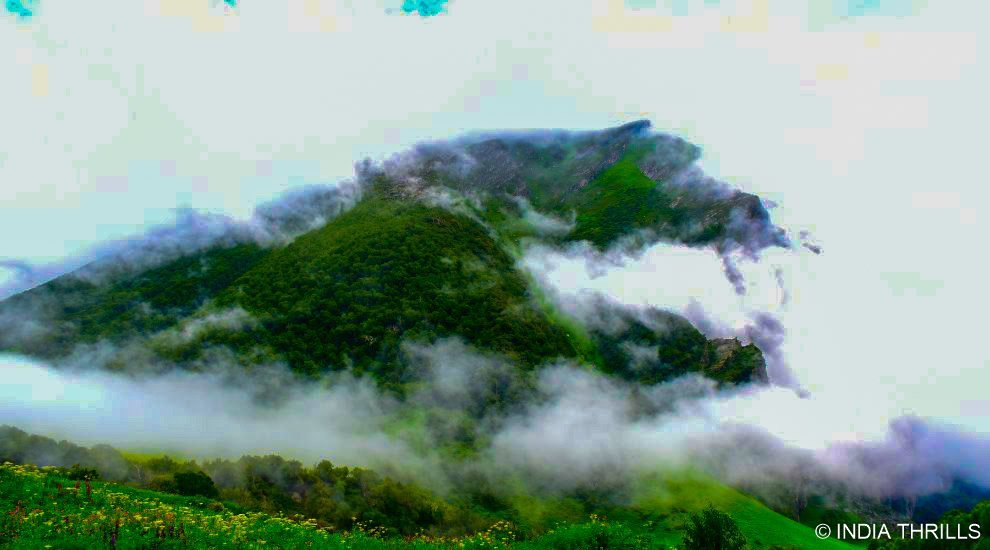 Best Time to Visit Valley of Flowers, Uttarakhand