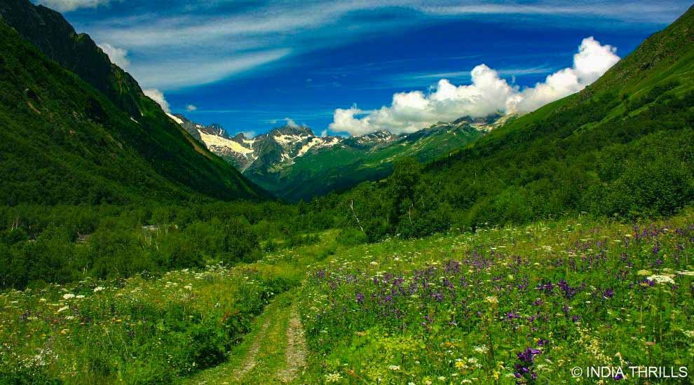 Valley of Flowers Trek National Park, Uttarakhand