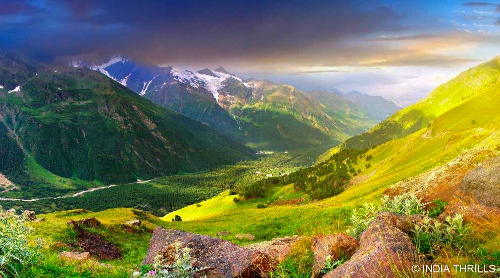 Best Time To Visit Valley of Flowers India Thrills