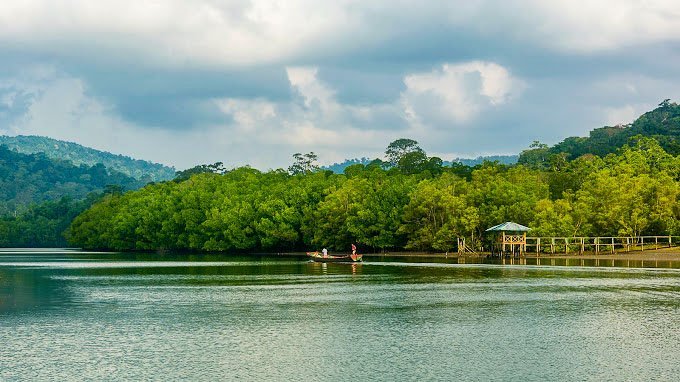 Dhani Nallah Mangrove Walkaway - Best place to visit in Andaman