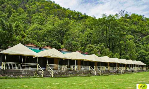 Nature Valley Camp | Luxury Camps in Rishikesh