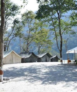 Rishikesh beach camps