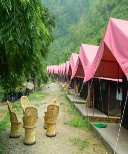 jungle camping in Rishikesh