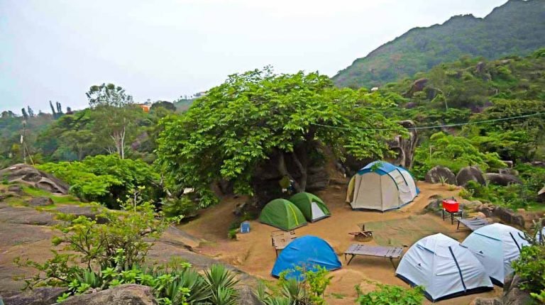 mount abu campsite